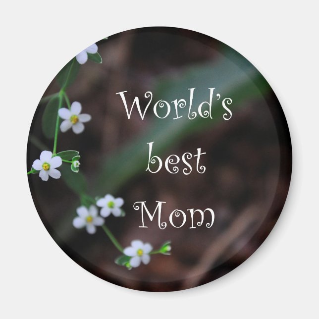 Das beste Geschenk für die Mama der Welt Magnet (Vorne)