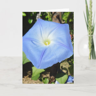 Das Beste von allem in Ihrer neuen Zuhause! Viel G Karte