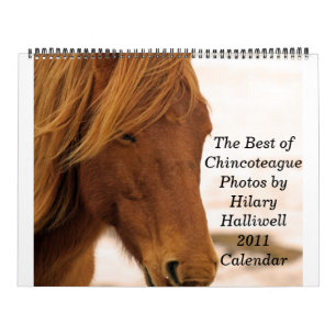 Das Beste von ChincoteaguePhotos durch Hilar… Kalender
