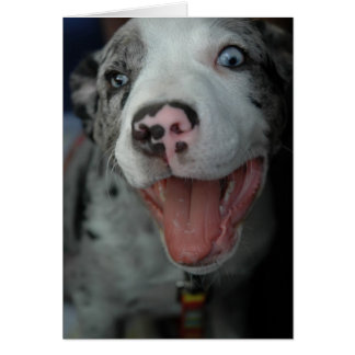 Das bestste Vergnügen