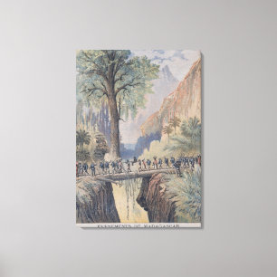 Das Bewohner-Allgemeine von Madagaskar Leinwanddruck