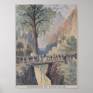 Das Bewohner-Allgemeine von Madagaskar Poster