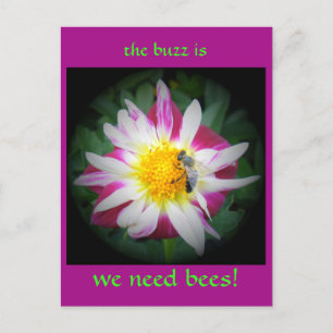 das Bienensturm Postkarte