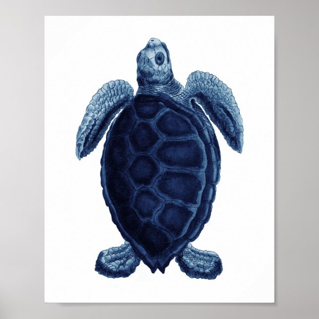 Das blaue Meer Schildkröten Beach Badezimmer Poster (Vorne)