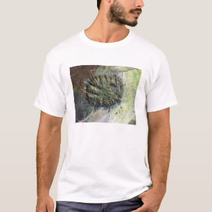 Das Brandberger Massiv in Nordnamibia T-Shirt