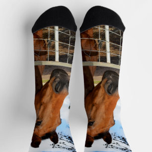 Das braune Pferd hauen, Crew Socken