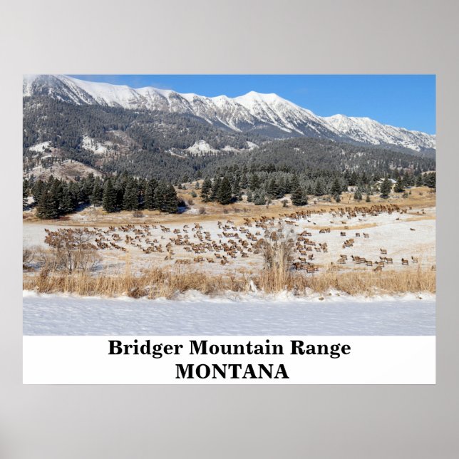 Das Bridger-Gebirge in Montana Poster (Vorne)