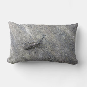 DAS BUG PILLOW LENDENKISSEN