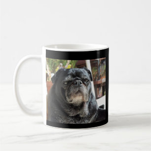 Das Bumblesnot "der meiste interessante Hunde" Tasse