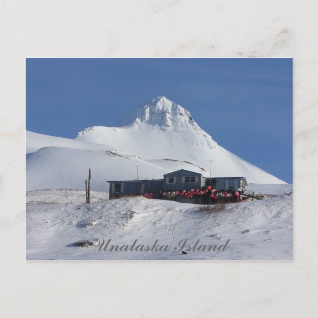 Das Buoy House unter der Pyramide Postkarte (Vorderseite)