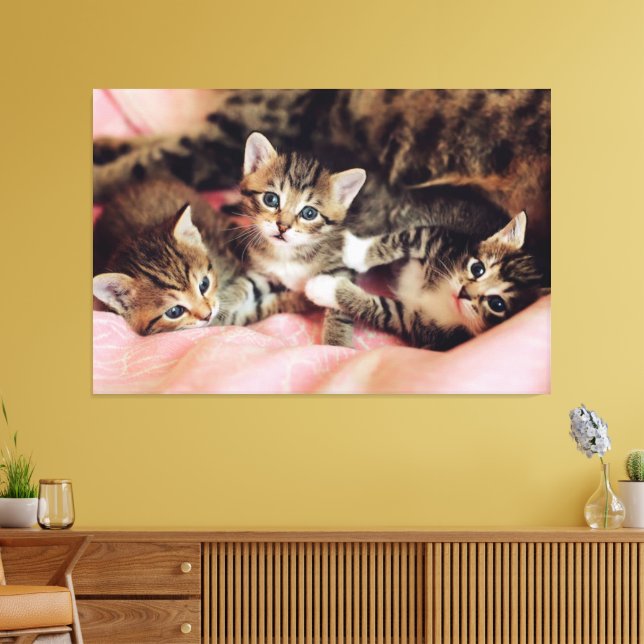 Das Cat Pack Canvas drucken Bild Leinwanddruck (Insitu (Wohnzimmer))