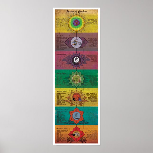 Das Chakras-System Poster (Vorne)