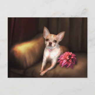 Das "Chihuahua-Portrait I" der Jaguarwoman Postkarte