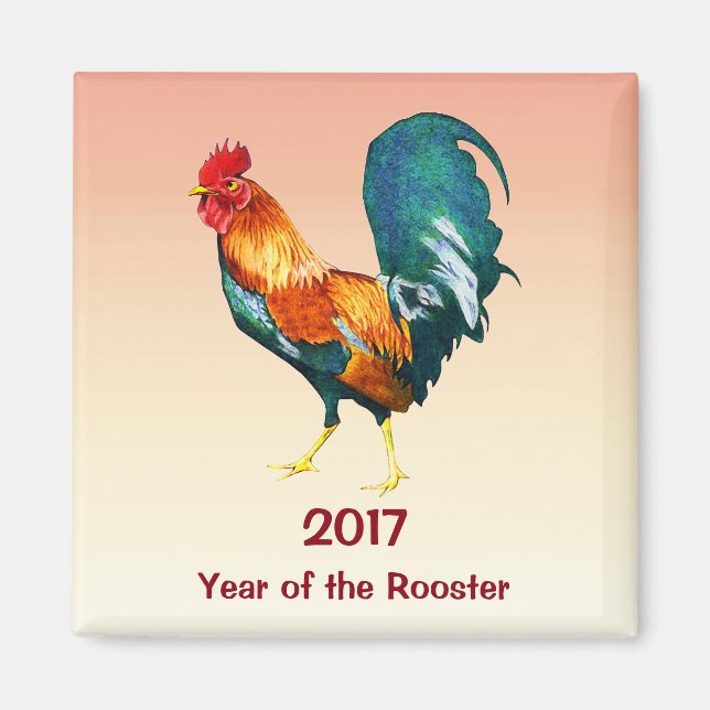 Das chinesische Neujahrsmagnet 2017 Magnet (Vorne)