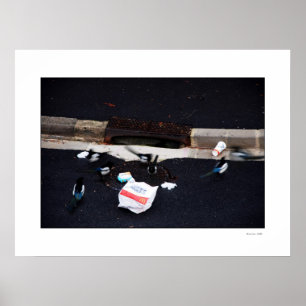 DAS CHOLESTEROL THIEVES-Poster Poster