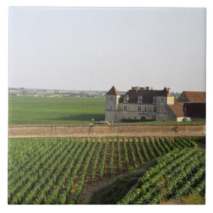 Das Clos de Vougeot 16. Jahrhundert Kloster und Fliese