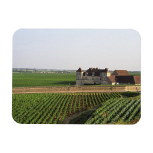 Das Clos de Vougeot 16. Jahrhundert Kloster und Magnet