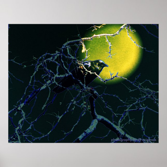 Das Crow-Poster Poster (Vorne)