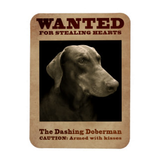 Das Dashing Doberman Magnet