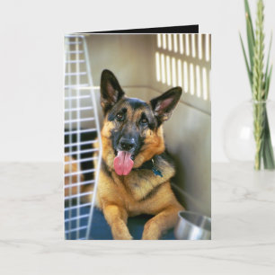 Das Denken an Sie kardieren Karte