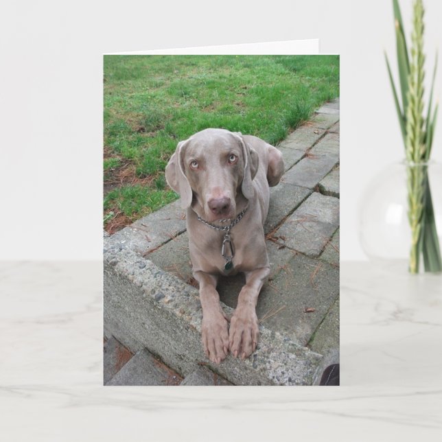 Das Denken an Sie kardieren Karte (Vorderseite)