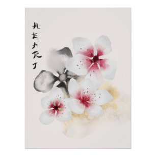 Das Design der Okinawa-Serie 13 Poster