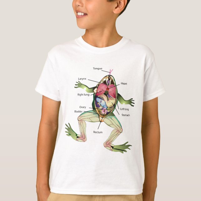 Das Die Anatomie-Illustrations-Zeichnen des T-Shirt (Vorderseite)