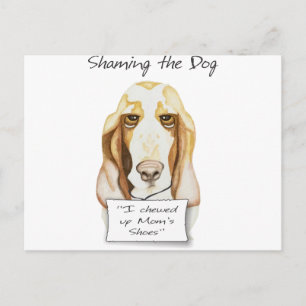 Das Dog Basset Hound schämen Postkarte