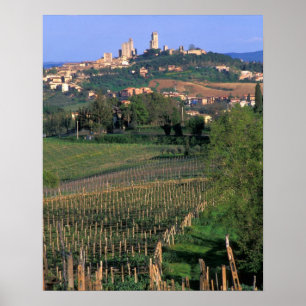 Das Dorf San Gimignano liegt im Wald Poster