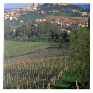 Das Dorf San Gimignano liegt in den sanften Fliese