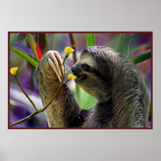 Das dreiteilige Plakatpapier für den Zahn Poster