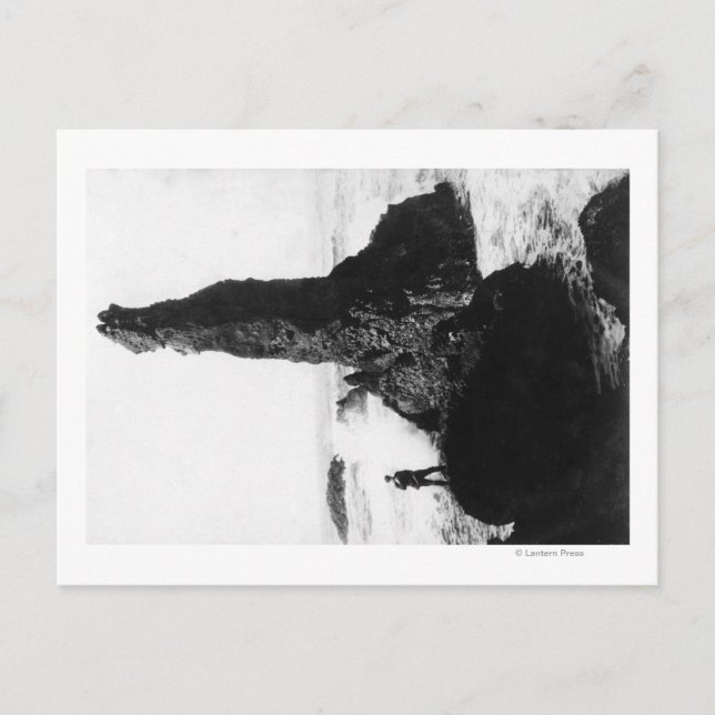 Das Duchess Rock in Newport, Oregon Postkarte (Vorderseite)