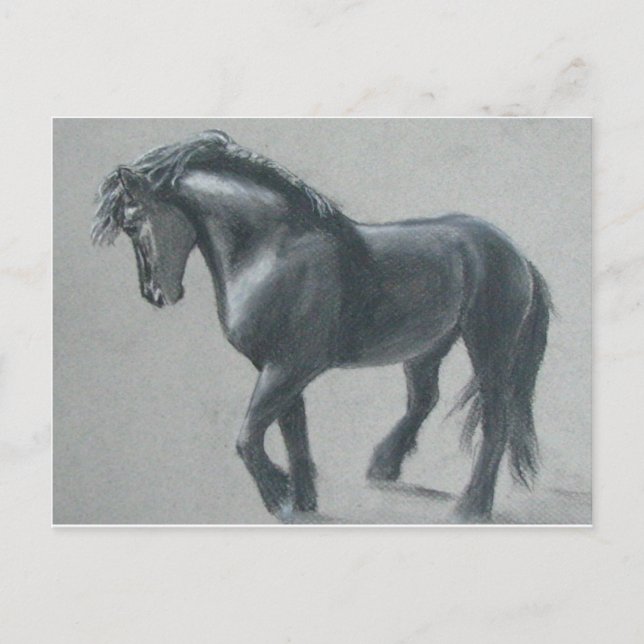 Das dunkle Pferd Postkarte (Vorderseite)