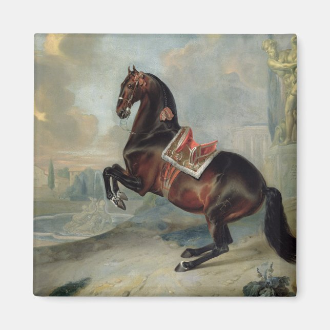 Das dunkle Pferd "Valido" Magnet (Vorne)