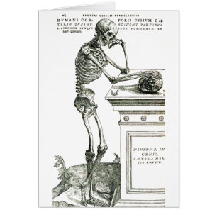 Das durchdachte Skelett