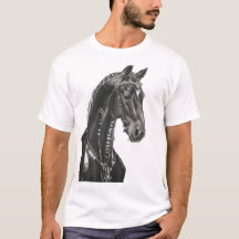 Das Dynamische Schwarze Pferd
