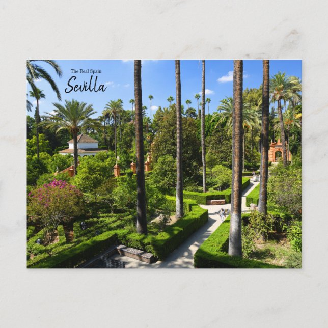 Das echte Spanien - Sevilla Postkarte (Vorderseite)
