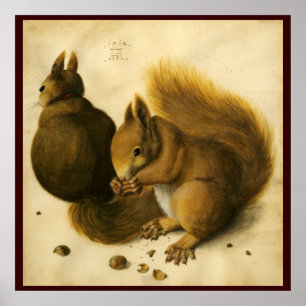 DAS EICHHÖRNCHEN MIT NÜSSEN POSTER