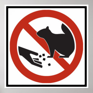 Das Eichhörnchenzeichen darf nicht Gefüttert werde Poster