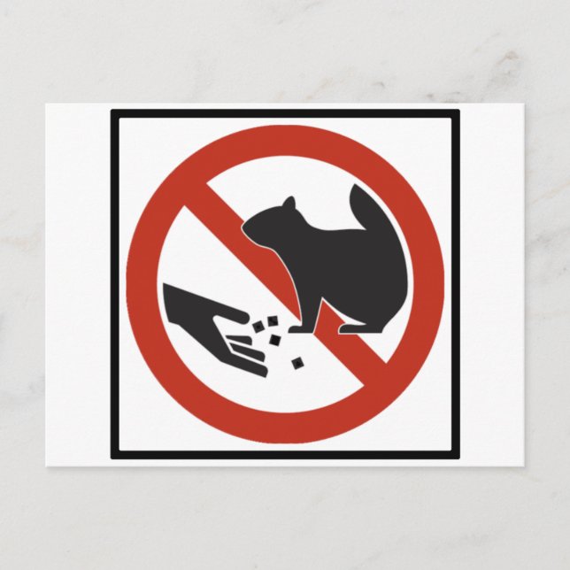 Das Eichhörnchenzeichen darf nicht Gefüttert werde Postkarte (Vorderseite)