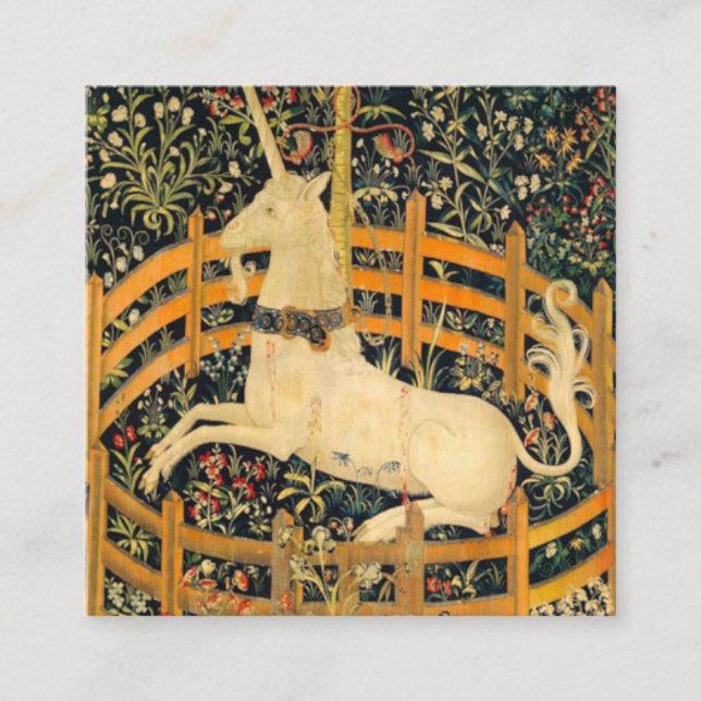 Das Einhorn in Gefangenschaft Begleitkarte (Vorderseite)