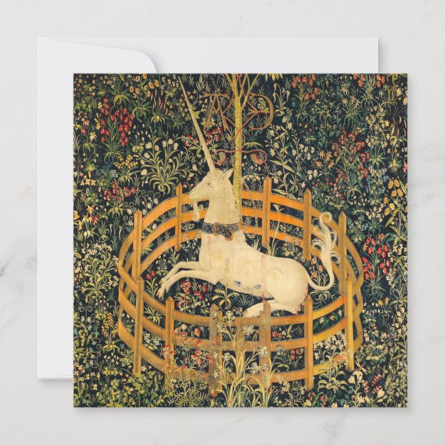 Das Einhorn in Gefangenschaft Einladung (Vorderseite)