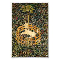 Das Einhorn in Gefangenschaft