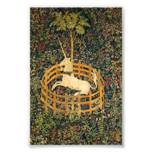 Das Einhorn in Gefangenschaft Fotodruck