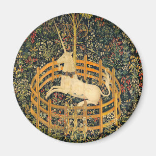 Das Einhorn in Gefangenschaft Magnet