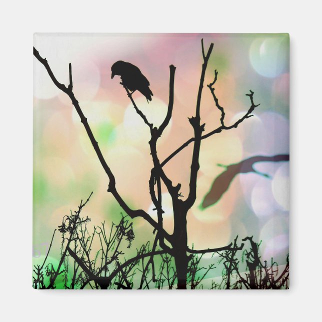 Das einsame Crow-Magnet Magnet (Vorne)