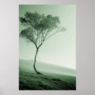 Das einsame Enteninel: Ein winziger Baum Poster