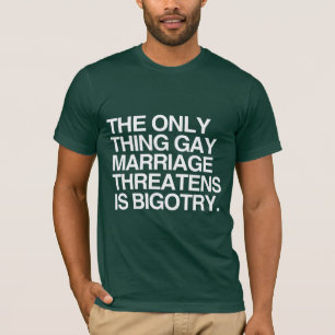DAS EINZIGE, WAS DIE HOMOEHE BEDROHT, IST DIE VORU T-Shirt