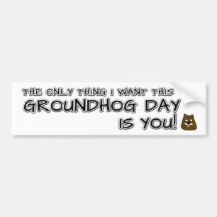 Das Einzige, was ich an diesem Groundhog Day gewol Autoaufkleber