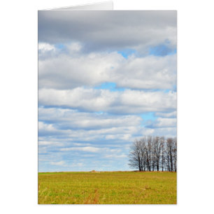 Das Ende der Baumzeile